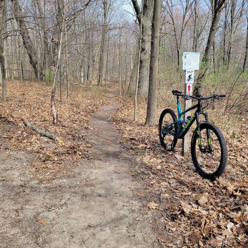 Mountain Bike Trails That Reward the Curious Rider