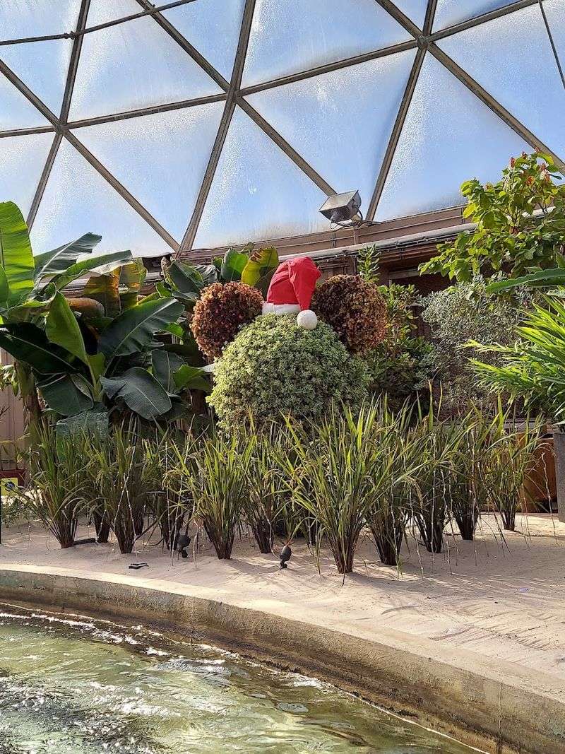 Visiting During the Flower and Garden Festival