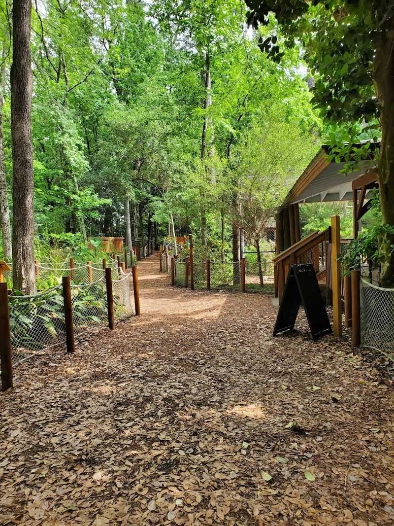 Shaded Trails That Make the Walk Comfortable