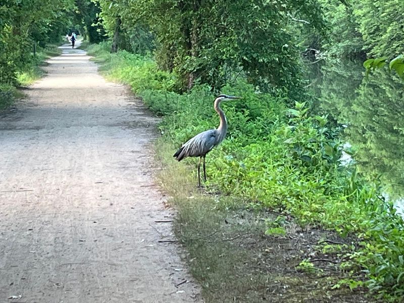 Flat Terrain That Is Easy on the Knees