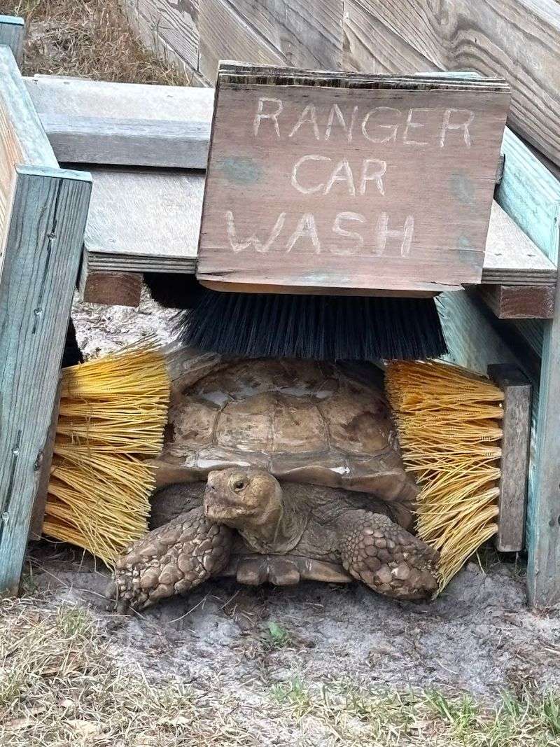 What to Know Before You Go