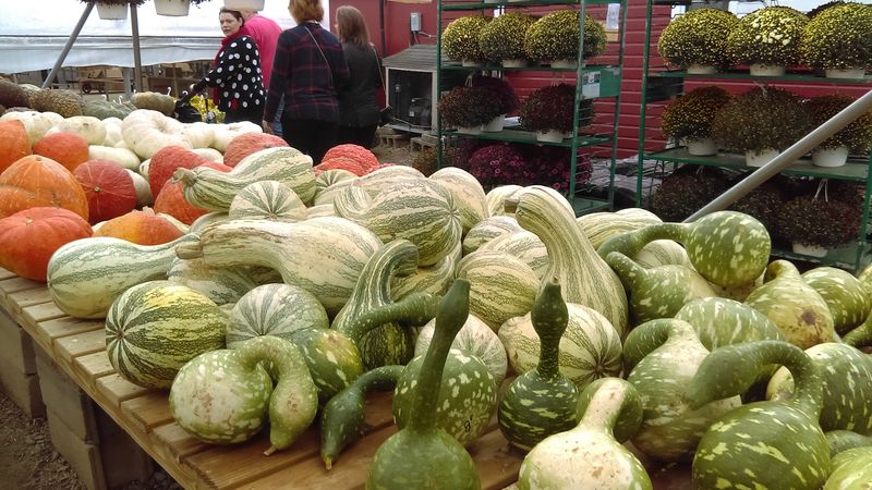 The Farm Market Worth Browsing