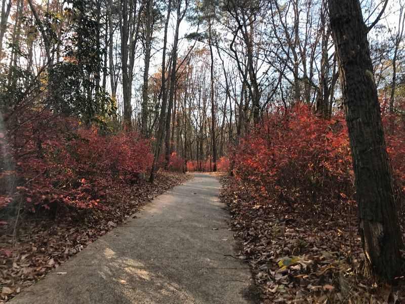 Paved Paths That Work for Everyone
