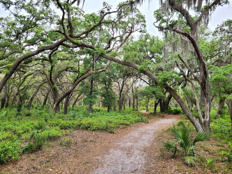 How Busy It Gets and the Best Times to Visit