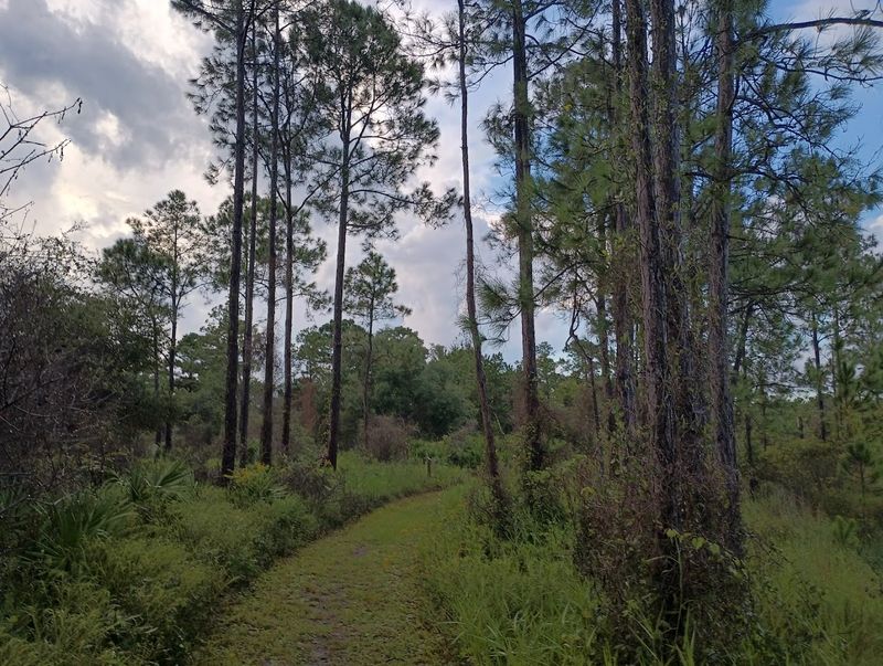 Storm Damage, Recovery, and Trail Conditions Post-2024