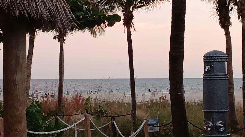 Tips for Getting the Most Out of Your Visit