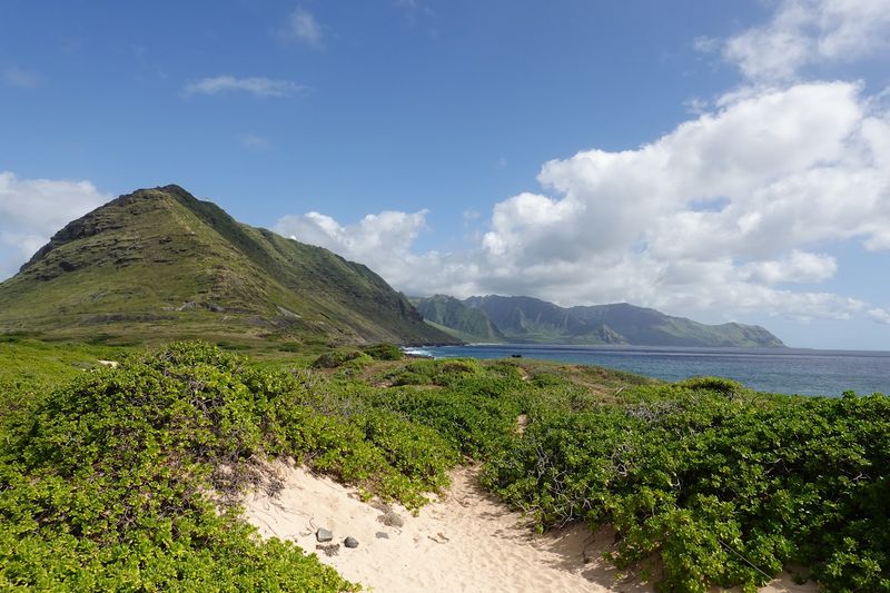 Why Kaena Point Deserves a Spot on Every Oahu Itinerary