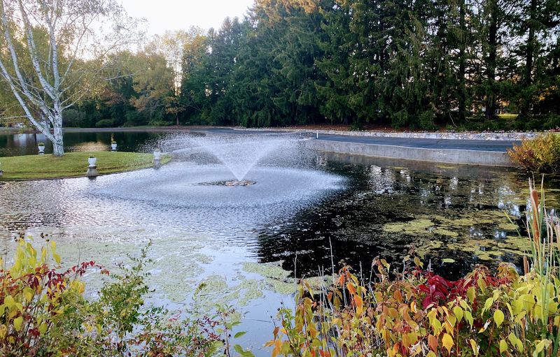 Photography Opportunities Around Every Corner of the Property