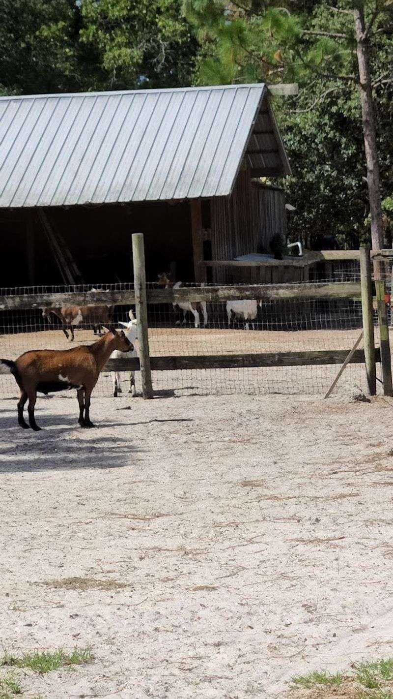 The Handmade Store on the Property