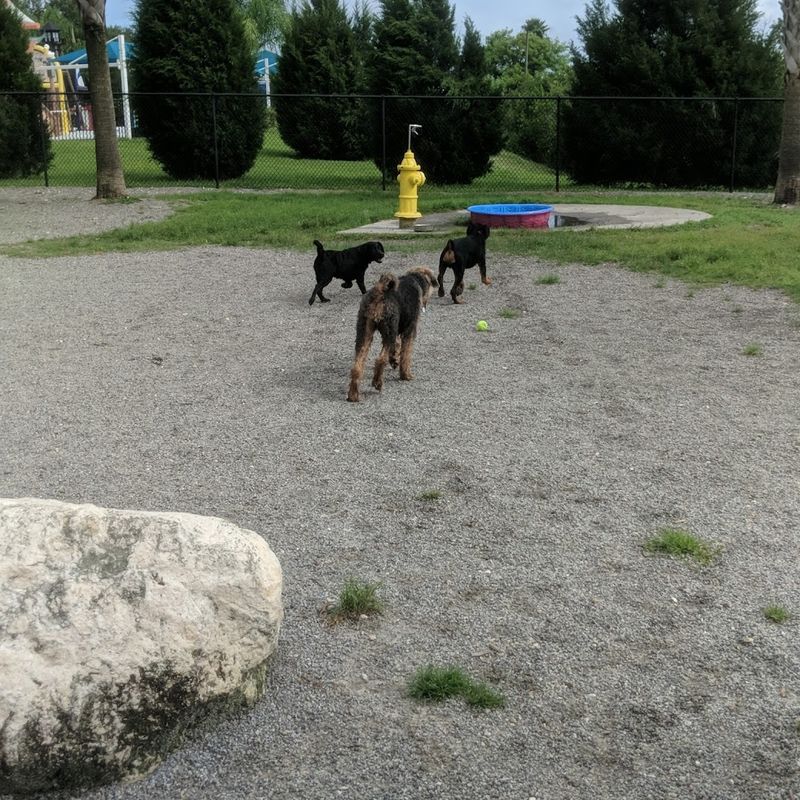 The Dog Park: A Bonus for Four-Legged Family Members