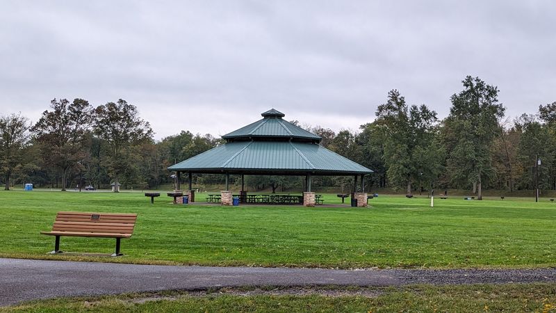 Picnicking Done Right