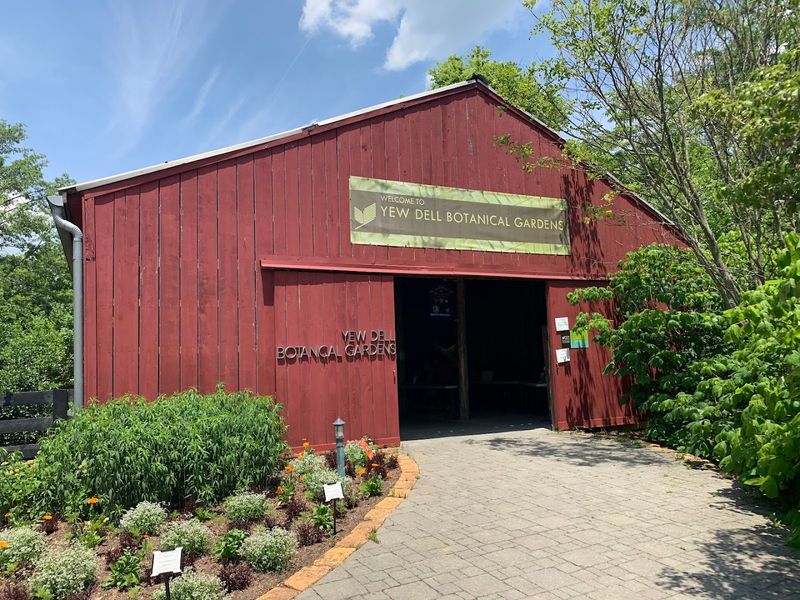 The Cafe: Surprisingly Good Food With a Lovely View