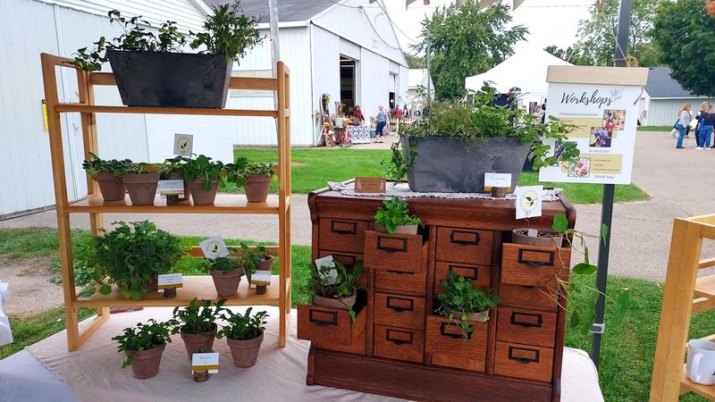 Friday Night vs. Saturday Morning: Which Should You Choose