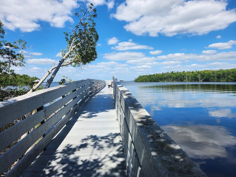 Photography at Four Mile Cove: Framing the Perfect Shot