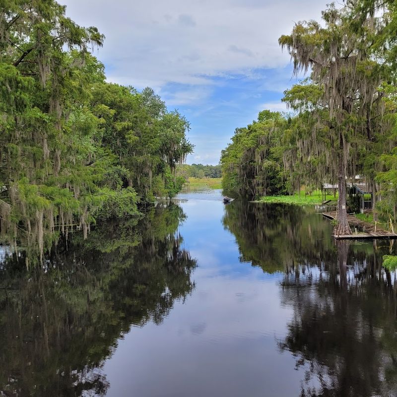 Best Times to Visit and Seasonal Highlights