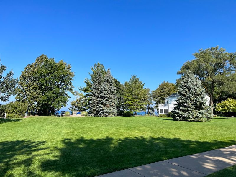 Cottages in the Trees: What Staying Here Actually Feels Like