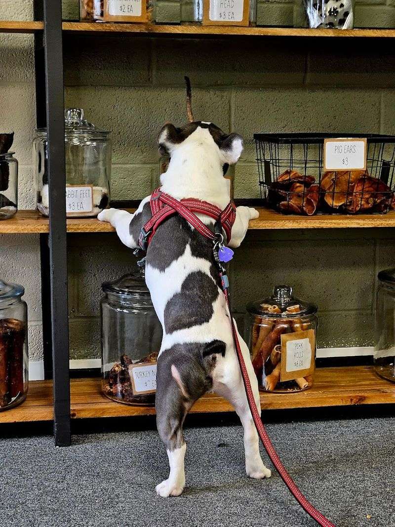 What Keeps People Coming Back: The Full Experience