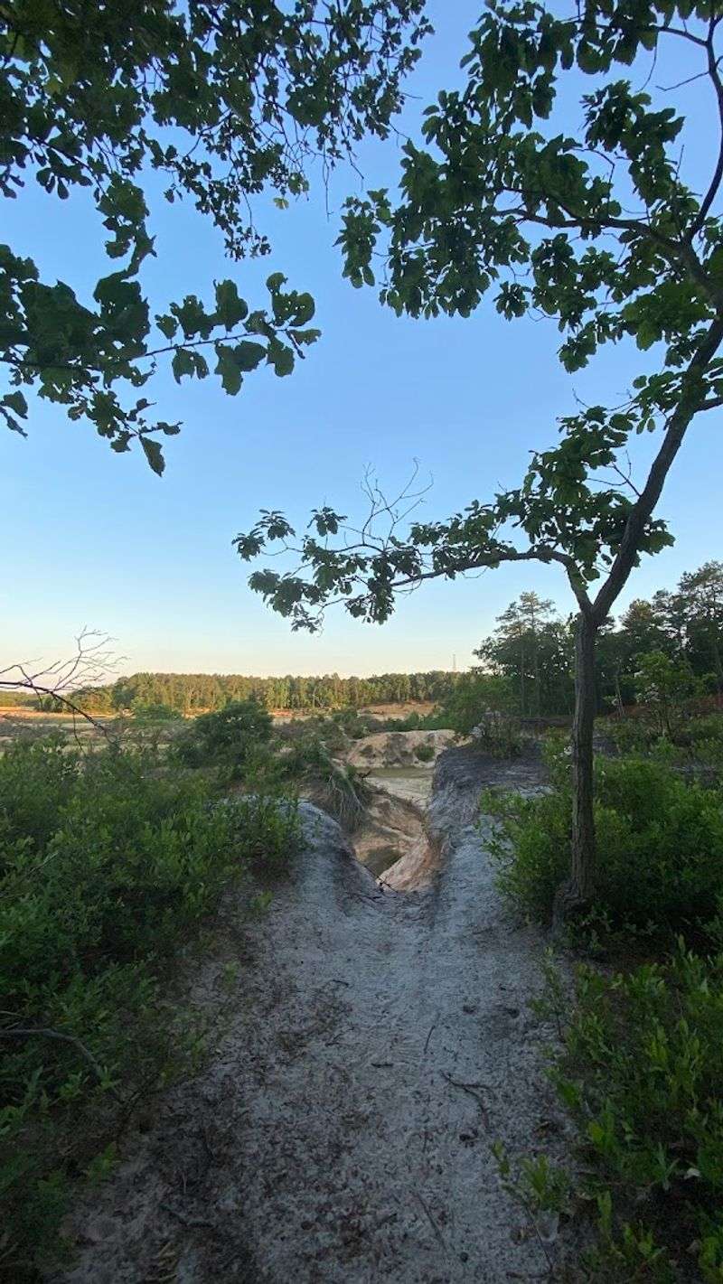 A Trail System With More Miles Than You Expect