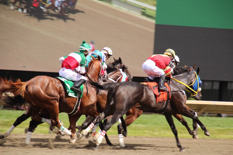 The Haskell: The Crown Jewel of the Summer