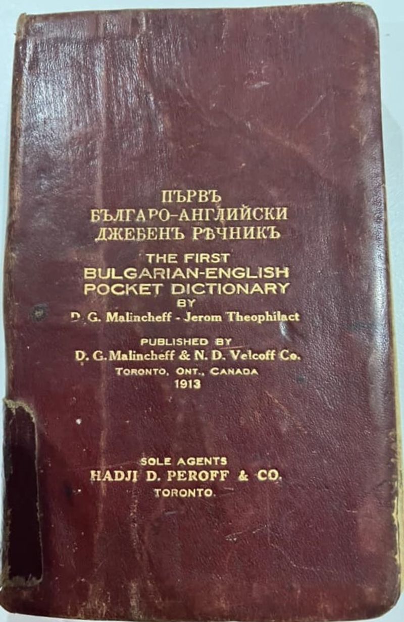 The Woman Who Woke Up Speaking a New Language