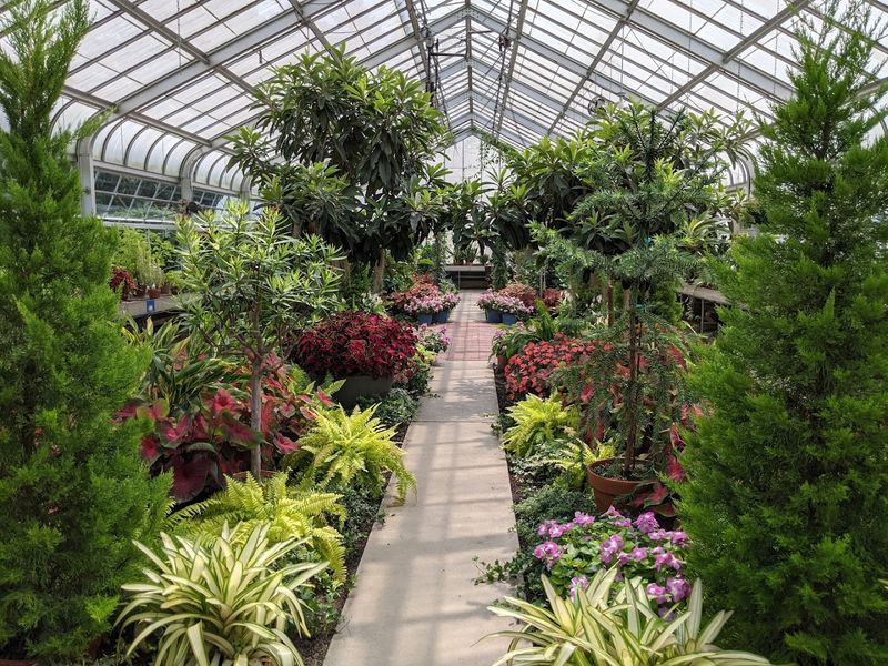 The Conservatory With Three Worlds Under One Roof
