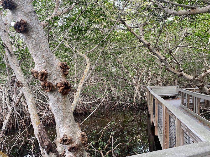 A Few Practical Tips Before You Go