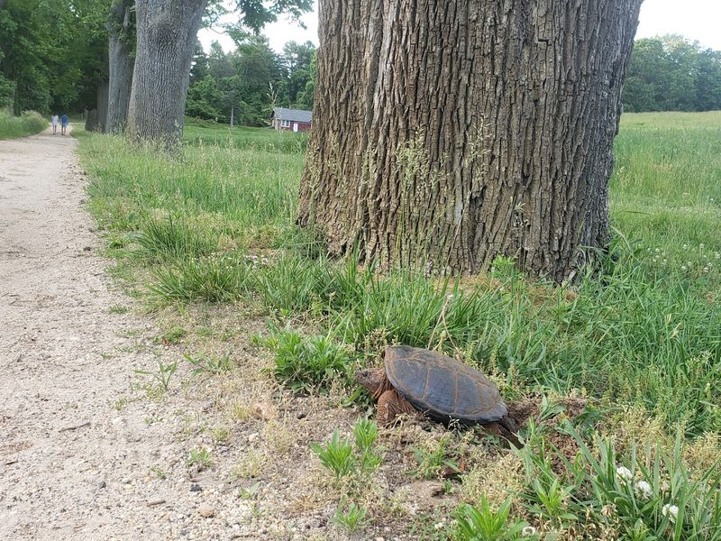 Bird Watching and Wildlife Around the Grounds
