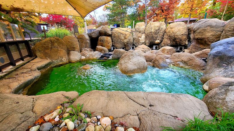 The Sensory Garden and Quiet Zone