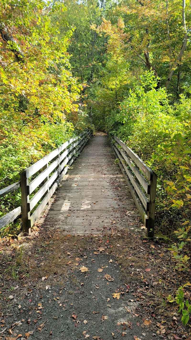 Five Miles of Trail That Actually Deliver