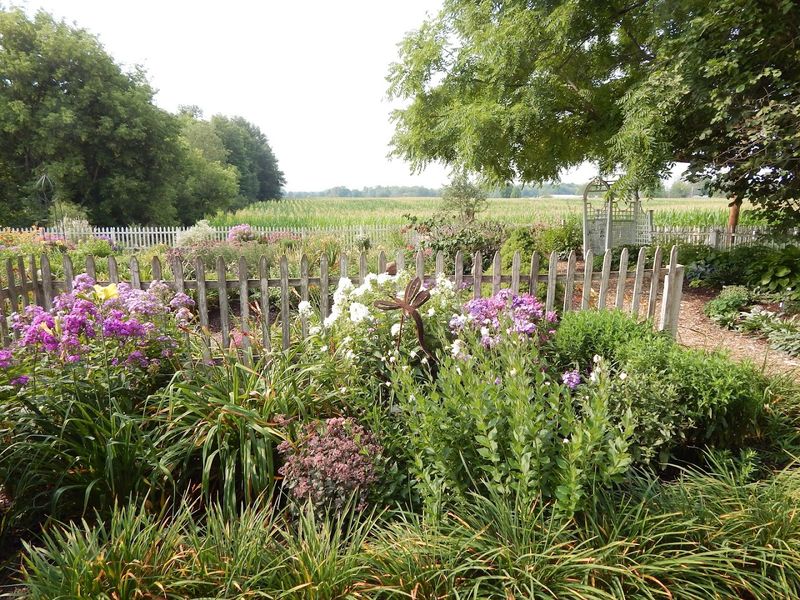 Plants You Will Not Find Anywhere Else