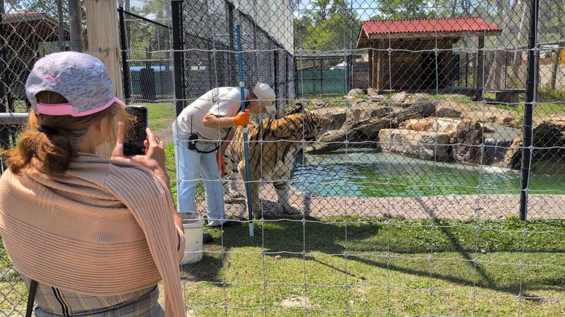 The Guided Tour Experience