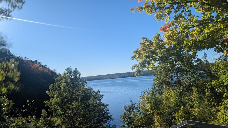 How Wildlife and Nature Show Up When You Least Expect It