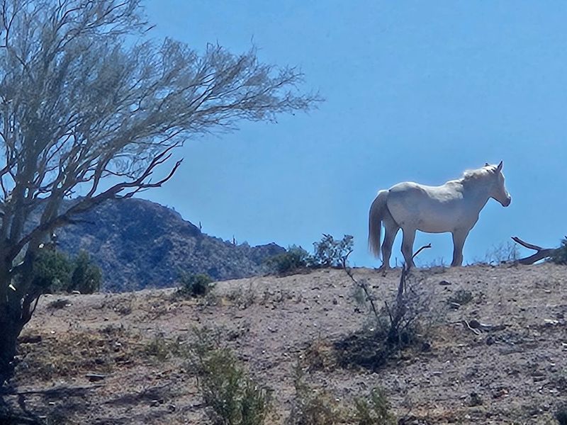 The Best Times of Year to Visit