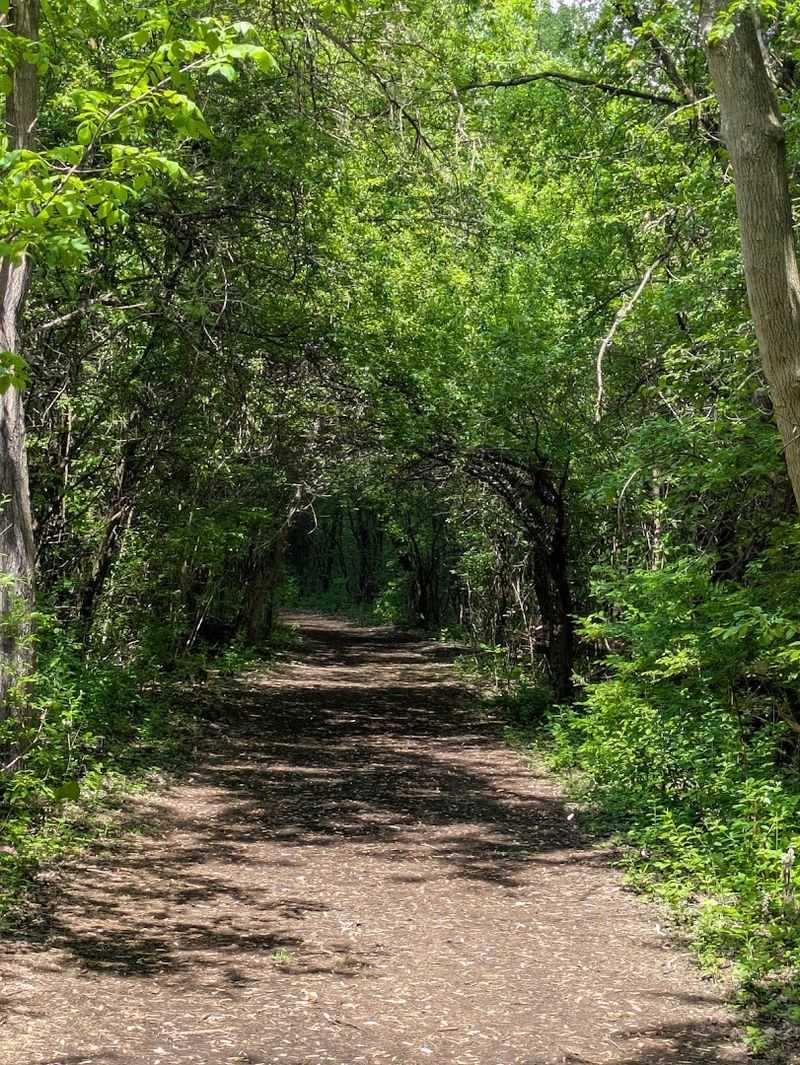 A Trail Network That Rewards Slow Walkers