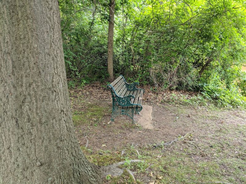 A Park That Belongs to the Community