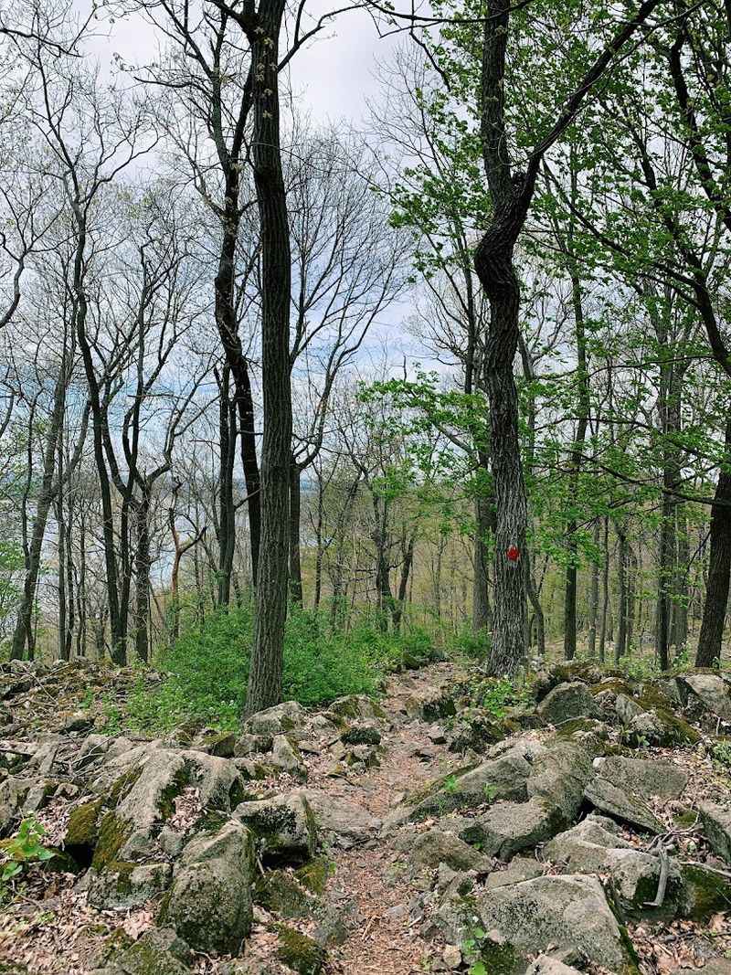 Footwear and Gear That Actually Matter Here