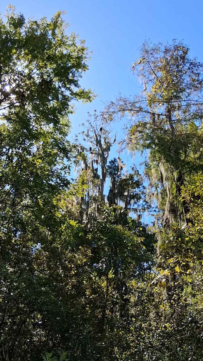 Why This Trailhead Keeps Pulling People Back