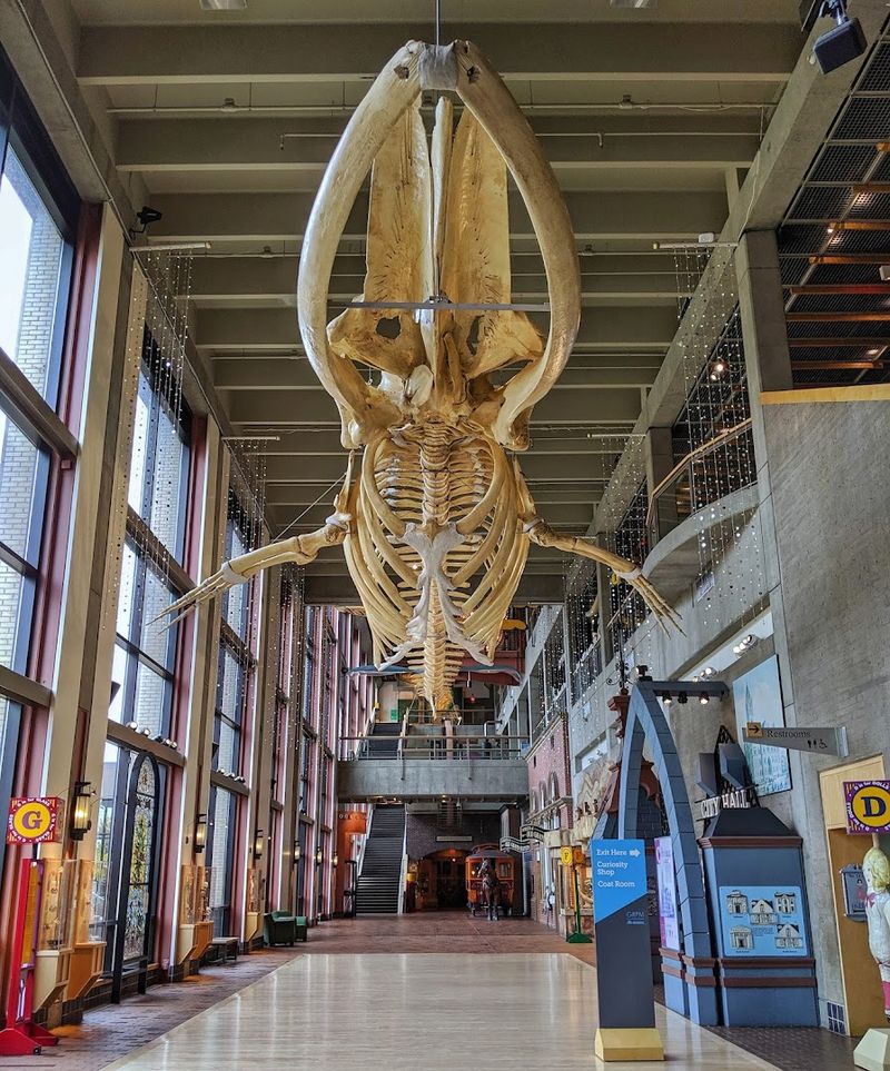 The Sharks Exhibit That Had Everyone Talking