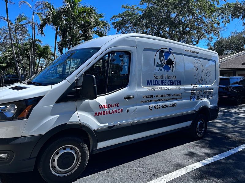 How Donations Keep the Operation Running