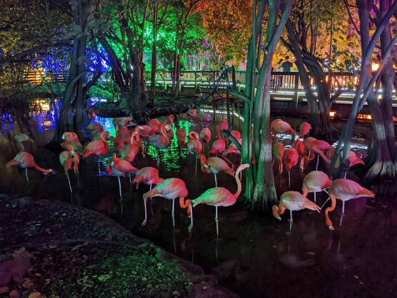 Practical Tips Before You Go