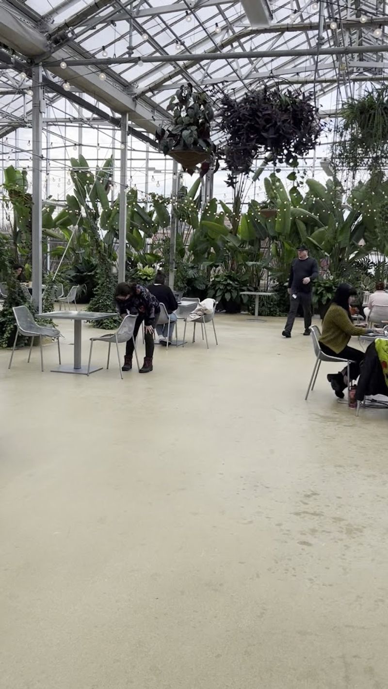 A Teaching Kitchen That Turns Curiosity Into Skills