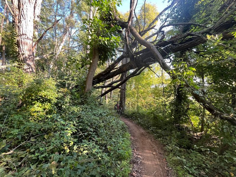 What the Terrain Actually Feels Like Under Your Wheels