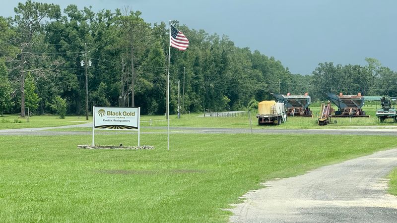 Black Gold Farms as a National Operation