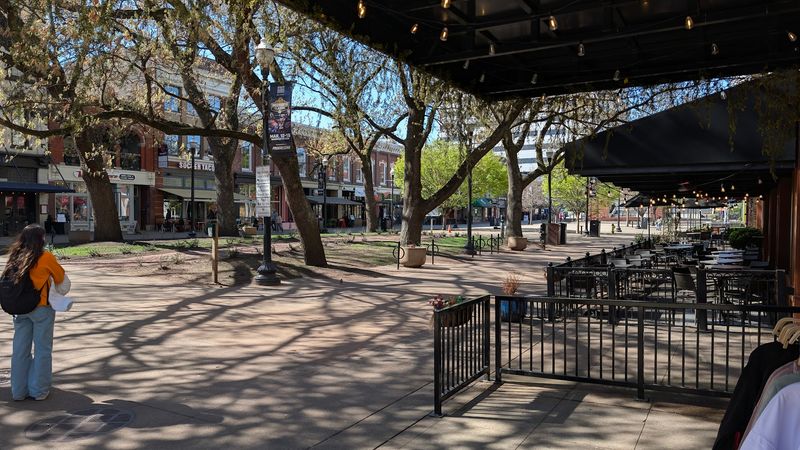 Stock & Barrel (Knoxville) — Rooftop Burgers and Bourbon