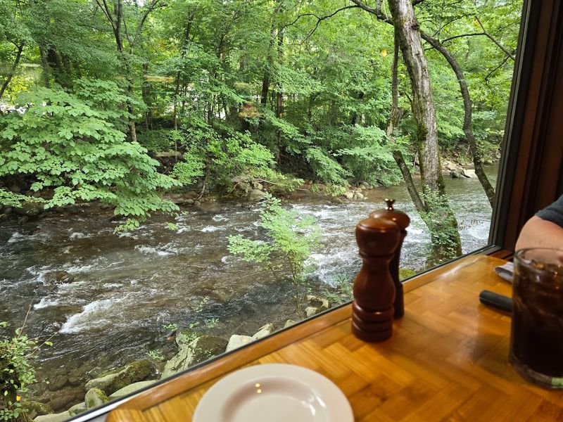 Wildlife Encounters Right Outside the Window