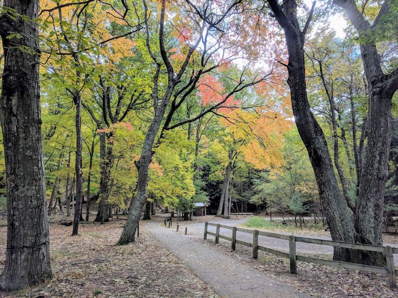 Miles of Trails for Every Skill Level and Pace