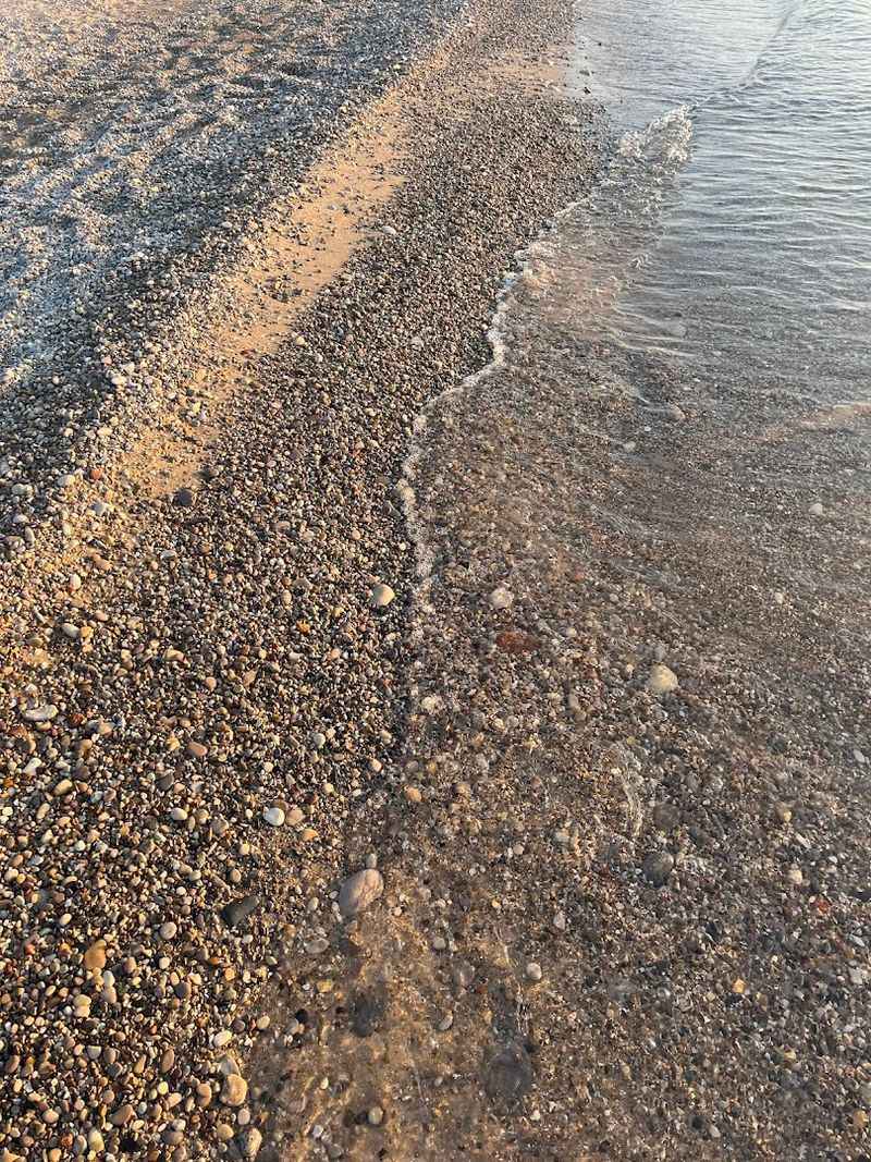 Hunting for Petoskey Stones Along the Shore