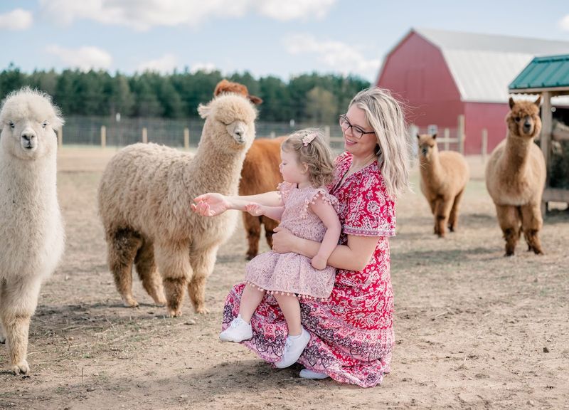 When to Visit and What to Know Before You Go