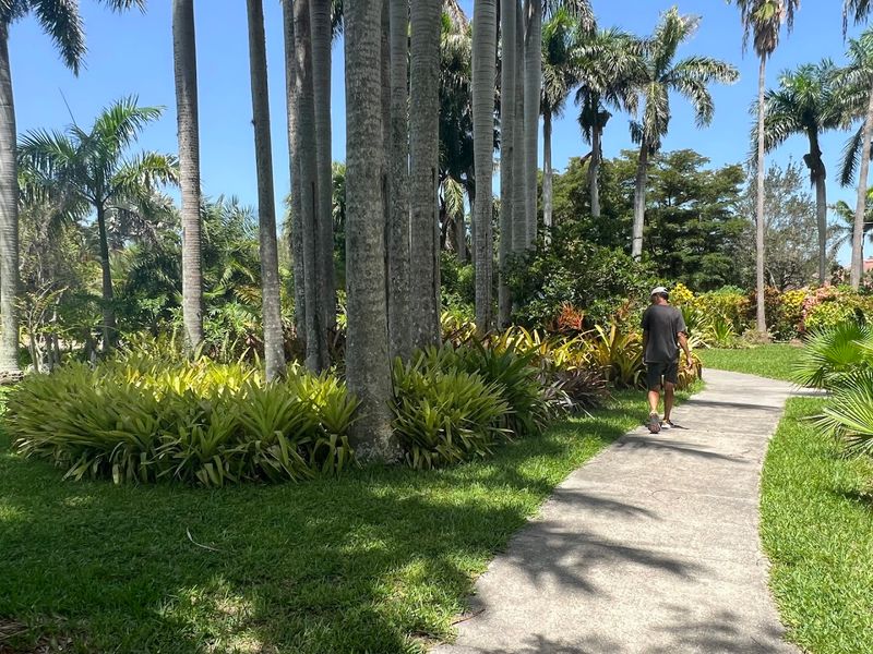 Workshops and Educational Events for All Ages