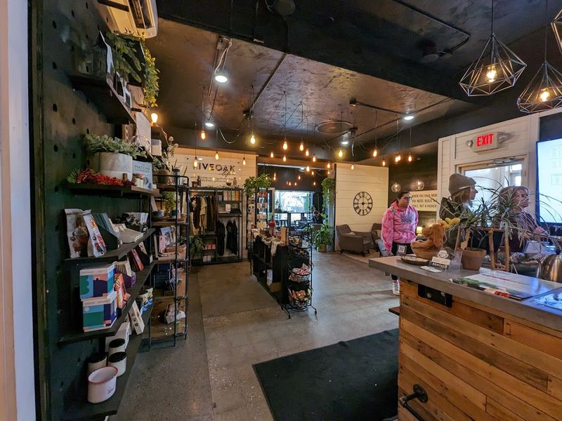 The Atmosphere That Keeps Drawing People Back